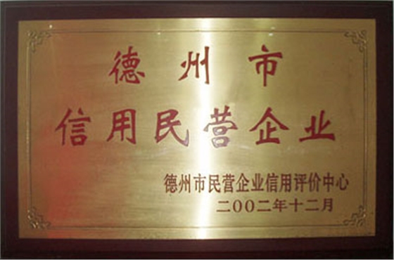 【德州市民营企业】-宝鼎荣誉