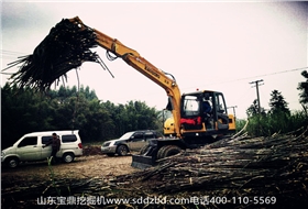 山东宝鼎挖掘机厂家轮式95抓木机产品