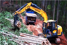 山东宝鼎挖掘机抓木机广西作业图片