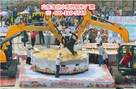 山东宝鼎小型挖掘机生产厂家 山东宝鼎小型挖掘机生产厂家