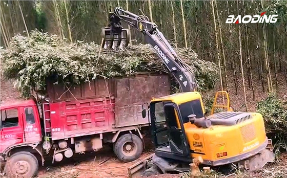 宝鼎抓木机 宝鼎抓木机