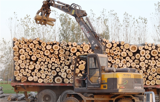 轮式抓木机 轮式抓木机