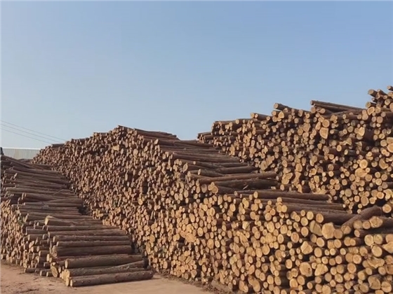 木堆.jpg 木堆.jpg