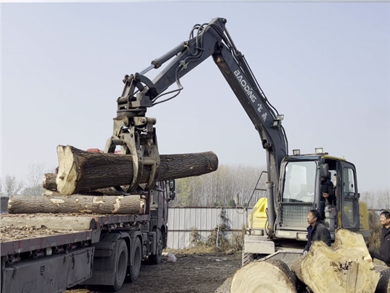 宝鼎抓木机.jpg 宝鼎抓木机.jpg