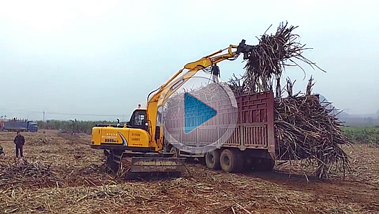 宝鼎95轮式抓木机