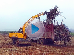 广西地区宝鼎BD95W-9轮式抓木机工作案例 广西地区宝鼎BD95W-9轮式抓木机工作案例