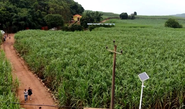 微信截图_20181031132352_Fotor.jpg 微信截图_20181031132352_Fotor.jpg