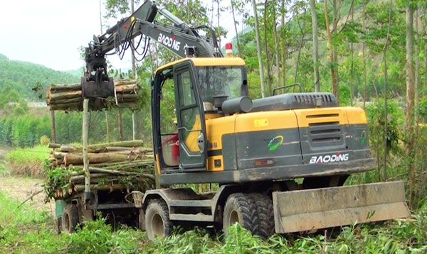 宝鼎轮式挖掘机抓木机.jpg 宝鼎轮式挖掘机抓木机.jpg