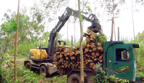 宝鼎抓木机.jpg 宝鼎抓木机.jpg