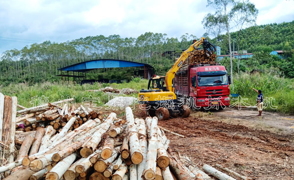 宝鼎80挖掘机抓木机.jpg 宝鼎80挖掘机抓木机.jpg