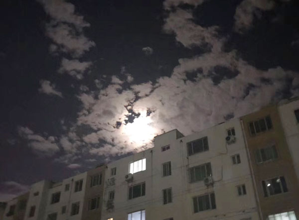 宝鼎挖掘机抓木机厂家.jpg 宝鼎挖掘机抓木机厂家.jpg