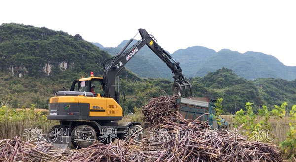 宝鼎抓木机.jpg 宝鼎抓木机.jpg