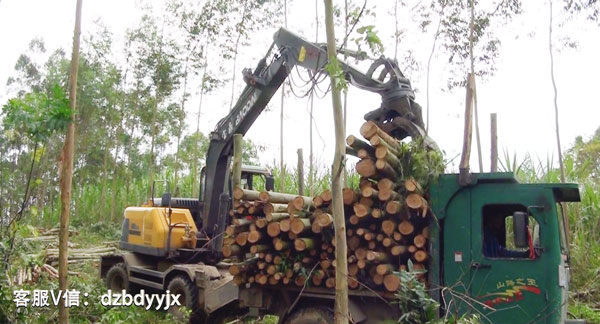 宝鼎95轮式抓木机.jpg 宝鼎95轮式抓木机.jpg