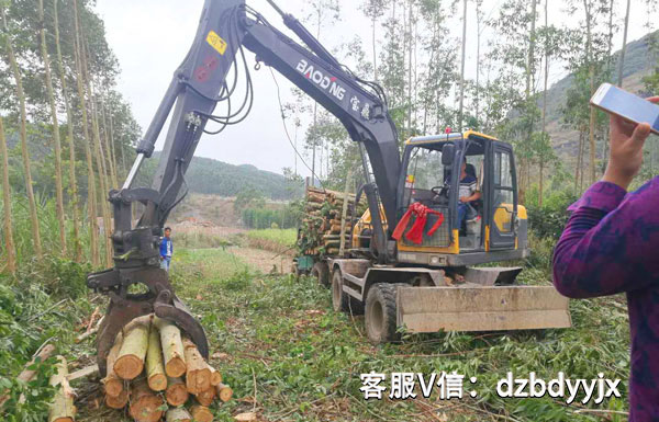 宝鼎95抓木机桉树装车作业.jpg 宝鼎95抓木机桉树装车作业.jpg