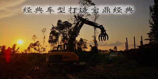 宝鼎挖掘机抓木机.jpg 宝鼎挖掘机抓木机.jpg