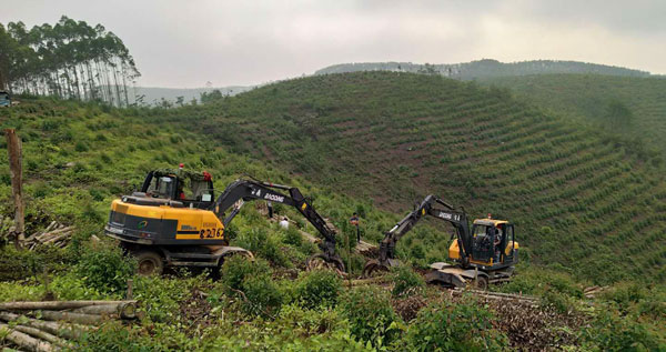 宝鼎抓木机95车型.jpg 宝鼎抓木机95车型.jpg