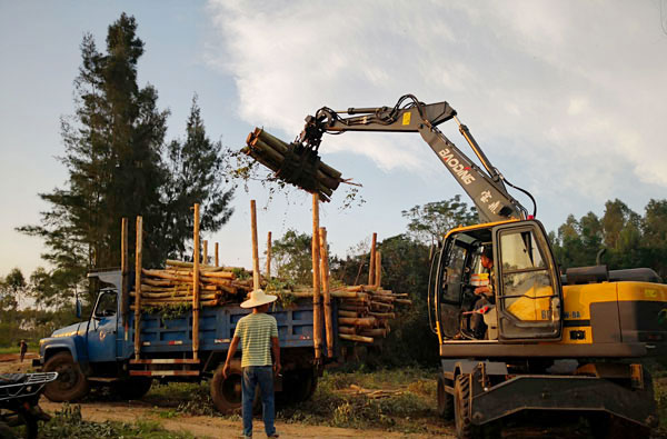 宝鼎轮式挖掘机抓木机.jpg 宝鼎轮式挖掘机抓木机.jpg