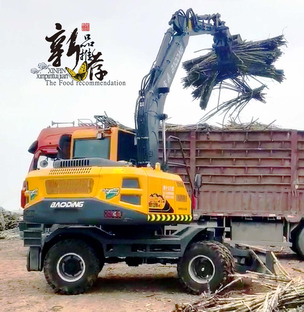 新款宝鼎120抓木机型号