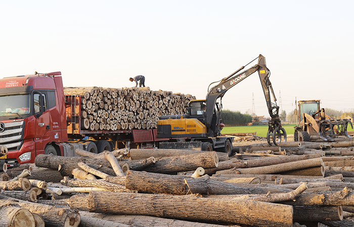 小型抓木机 小型抓木机