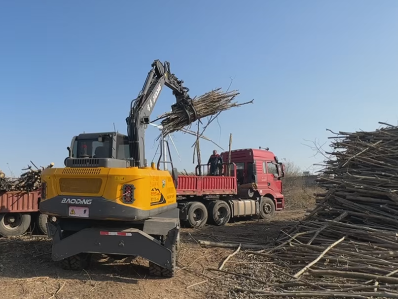 轮式抓木机.png 轮式抓木机.png