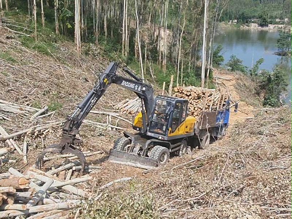 宝鼎抓木机.jpg 宝鼎抓木机.jpg